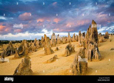 Sunset in the Pinnacles Desert. Nambung National Park, Cervantes, Western Australia, AUSTRALIA ...