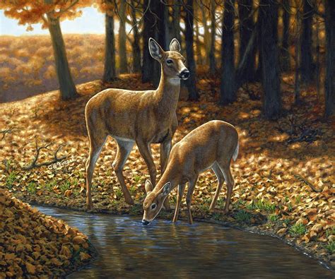 Whitetail Deer - Autumn Innocence 1 Painting by Crista Forest