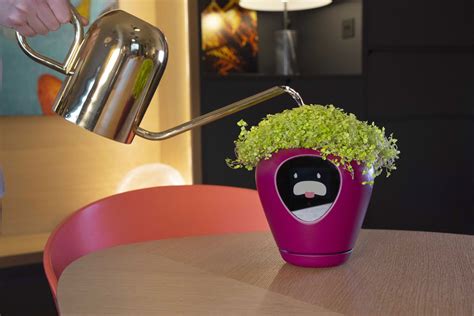 This Smart Planter Will Let You Know Its “Feelings” Via An Integrated Digital Display