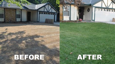 Total Lawn Restoration - Killing Your Yard and Starting Over - Grass Pad