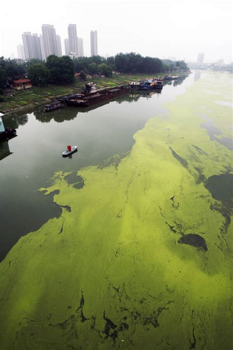 26 Shocking Photos Of The Pollution In China's Yangtze River