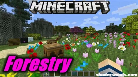 Forestry Mod for Minecraft 1.12.2/1.11.2 | Shaders Mods