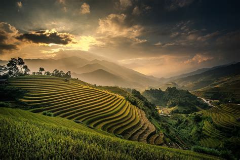 Rice terraces, nature, landscape, field, terraces HD wallpaper ...