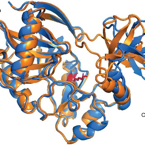 (PDF) mRNA capping: Biological functions and applications