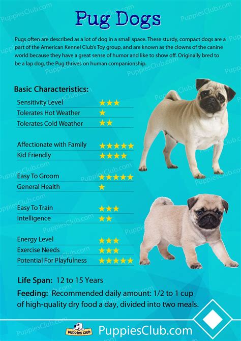 Pin by Puppies Club on Dog Breeds Characteristics | Dog emotions, Pugs, Cute pugs