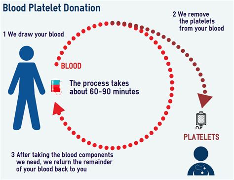 Transfusions and Platelet Donations – The Platelet Society