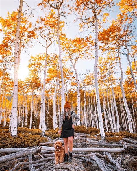 The Trembling Giant, Fish Lake, Utah | Utah travel, Lake fishing, Utah