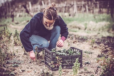 March Garden Checklist | Kellogg Garden Organics™