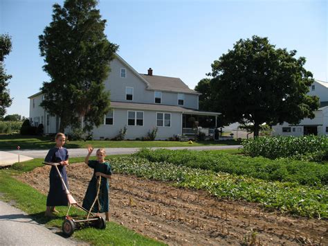 View source image Amish Country Pa, Amish Farm, Country Life, Country Kitchen, Country Living ...