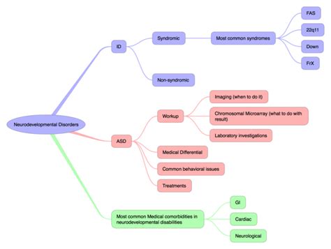 Neurodevelopmental Disorders: iThoughts mind map template | Biggerplate