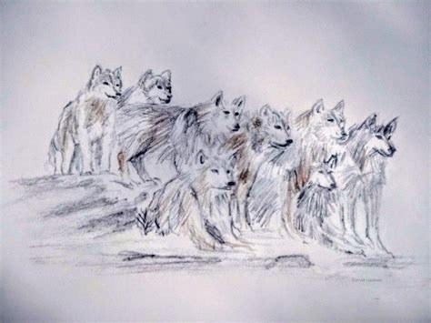 Wolf Pack Drawing by Corvie Lucious - Pixels