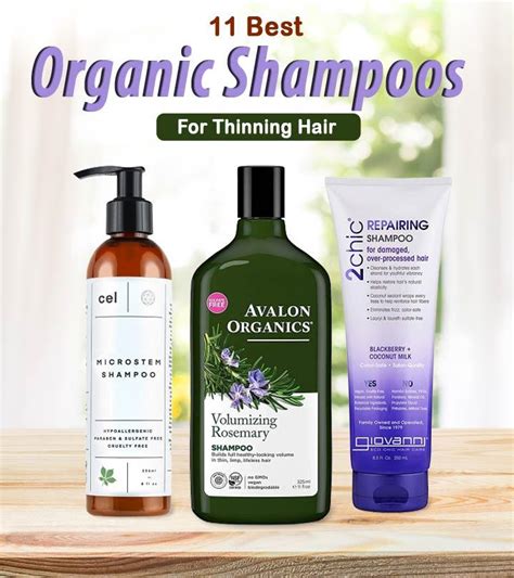 The 11 Best Natural And Organic Shampoos For Fine Hair – 2023