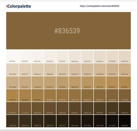 Dirt Brown information | Hsl | Rgb | Pantone