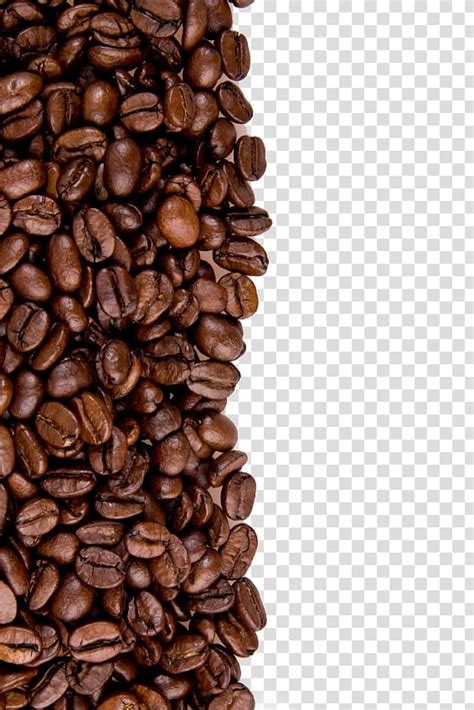 Coffee beans, Coffee bean Cafe Iced coffee Instant coffee, Coffee beans transparent background ...