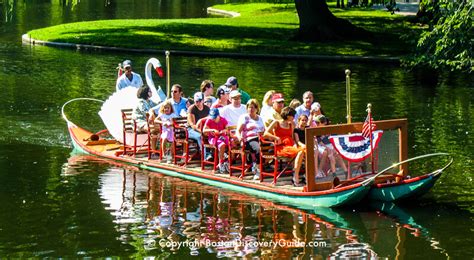 Boston Swan Boats - Top Attraction - Boston Discovery Guide