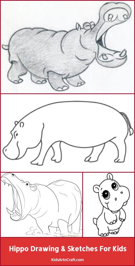 Hippo Drawing & Sketches for Kids - Kids Art & Craft