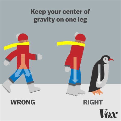 Graphic: tips to walk on ice like a penguin - Vox