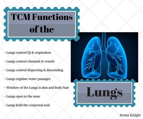 Functions of the Lung according to TCM | Traditional chinese medicine acupuncture, Chinese ...