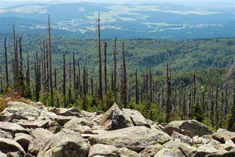 Travel Trip Journey : Bavarian Forest National Park Germany