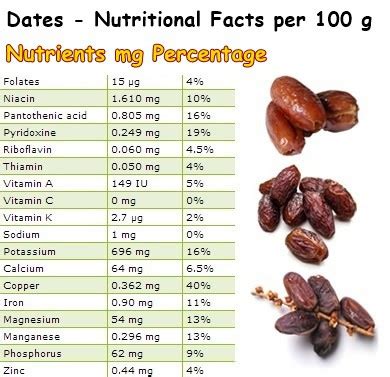 Properties and Benefits of Dates - NatureWord