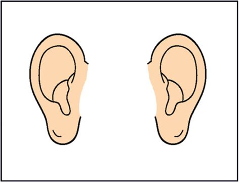 Two Ears Clip Art - ClipArt Best