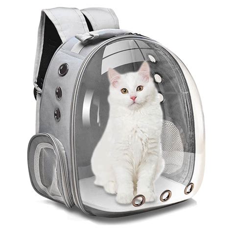 Top 10 Best Cat Backpack Carriers in 2023 Reviews | Buyer's Guide