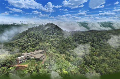 Mindo Cloud Forest Holiudays 2024 / 2025 | Mindo Cloud Forest, Ecuador ...