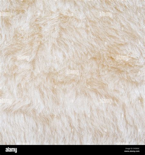 White fur of polar bear texture background Stock Photo: 68512652 - Alamy