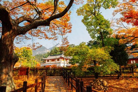 Autumn of Eunpyeong Hanok Village. Maple Forest and Trail Road in Seoul ...