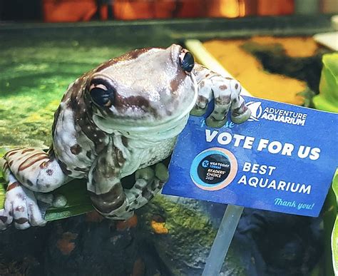 Adventure Aquarium Needs Your Help