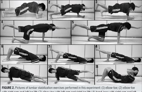 Electromyographic analysis of transversus abdominis and lumbar ...