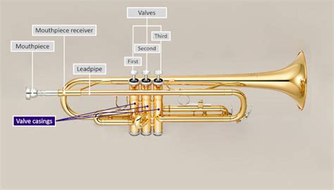 Parts of a Trumpet Explained