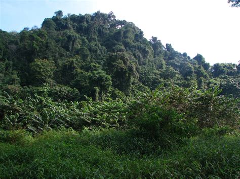 cuc phuong national park - Vietnam Jourey