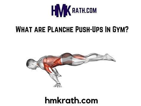 What are Planche Push-Ups In Gym?