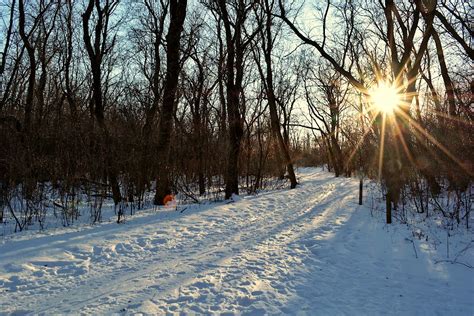 Walking in winter sunshine | Jonathan Bloy