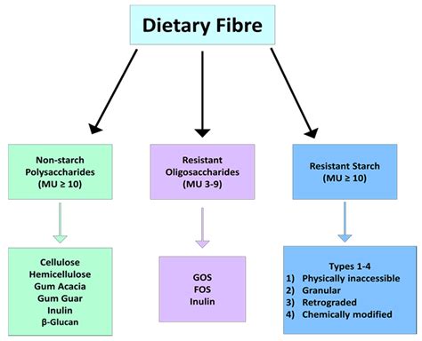 Types Of Fibres - astonishingceiyrs