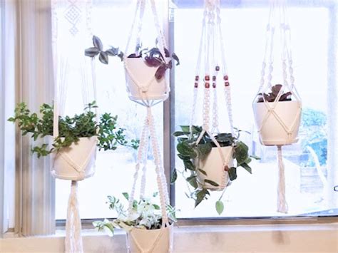 DIY Hanging Plant Decor