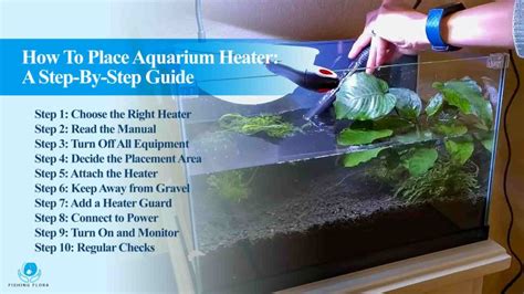 Can Aquarium Heater Touch Gravel? [Find Out Here!]