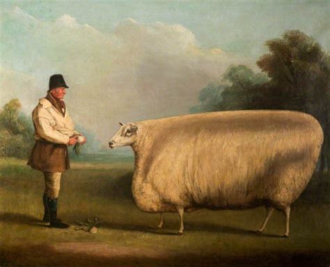 Prize Sheep, by William Henry Davis, 1838 | Streaming | Pinterest | Sheep