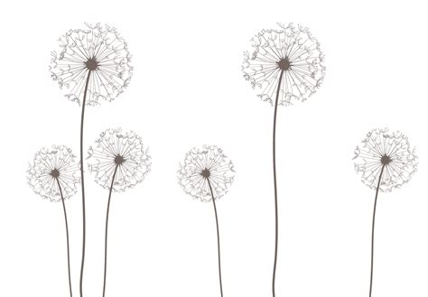 Dandelion PNG Transparent HD Photo | PNG All