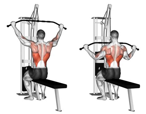 Close Grip Lat Pulldown Muscles Worked vs Wide Grip, Cable, V Bar ...