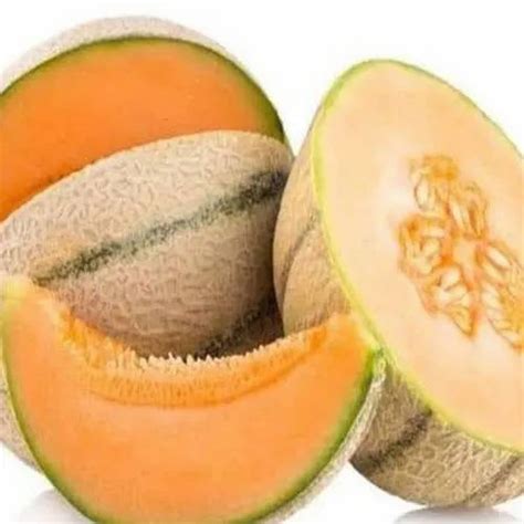 Honey Melon at Rs 25/kg | Honeydew Melons in Mumbai | ID: 21745246488