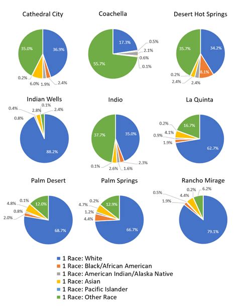 Clarifying 2020 Census Data: Race and Ethnicity - CVEP