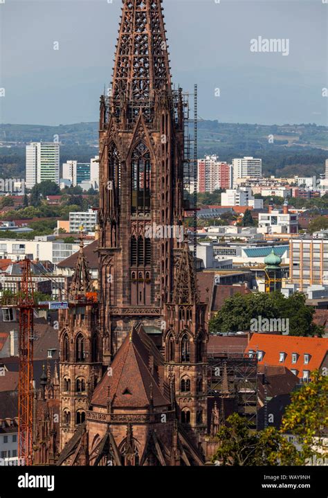 Freiburg im Breisgau, old town, church tower of the Freiburg cathedral Stock Photo - Alamy