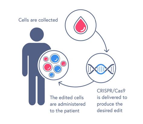 Vertex and CRISPR Therapeutics gain FDA approval for CASGEVY - World’s first sickle cell ...