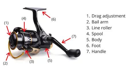 Parts Of A Spinning Reel (Explained for Beginners)