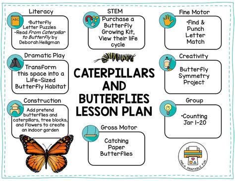 Use the suggested ideas to help you plan your preschool Caterpillars and Butterflies Lesson ...