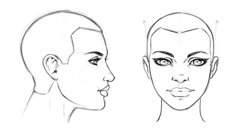 How To Draw A Head How To Draw Heads Drawing Tips For - vrogue.co