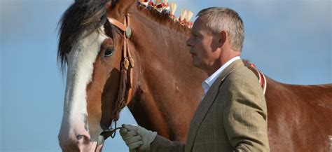 P&J Live – World Clydesdale Show 2022 Appoints Martin Clunes As Show…