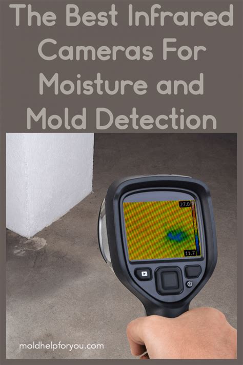 The Best Thermal Imaging Camera For Moisture and Mold Detection | Mold ...